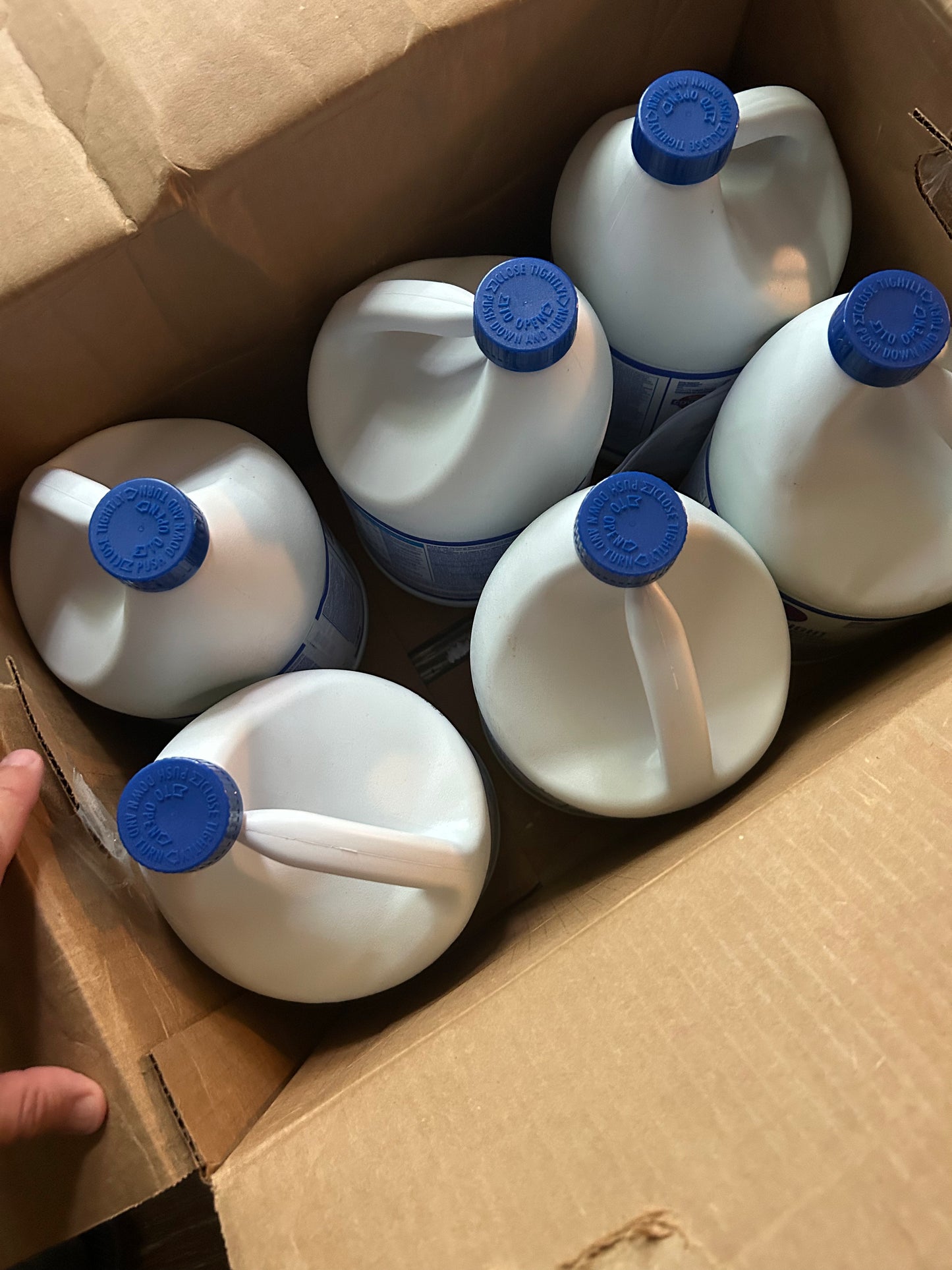 1 Gallon Pure Bright Germicidal Ultra Bleach